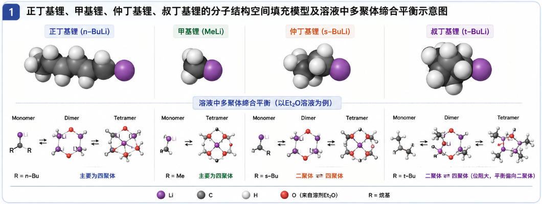 正丁基锂、甲基锂、仲丁基锂、叔丁基锂的分子结构空间填充模型及溶液中多聚体缔合平衡示意图
